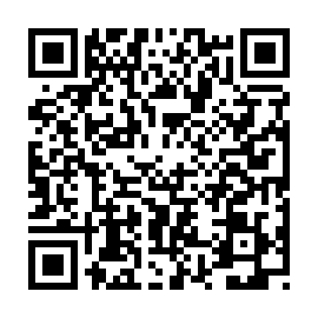 QR code for DX51294
