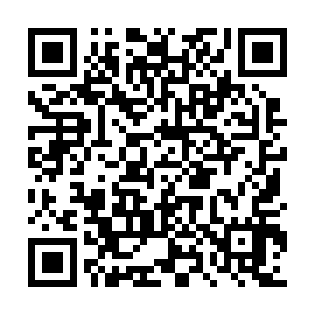 QR code for DX9217