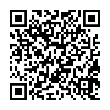 QR code for DXG447