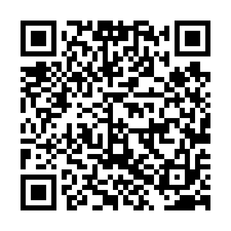 QR code for DXL613
