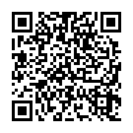 QR code for DY13387