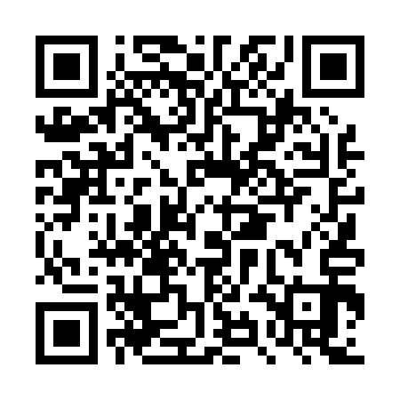 QR code for DYD013