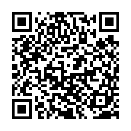 QR code for DYI641