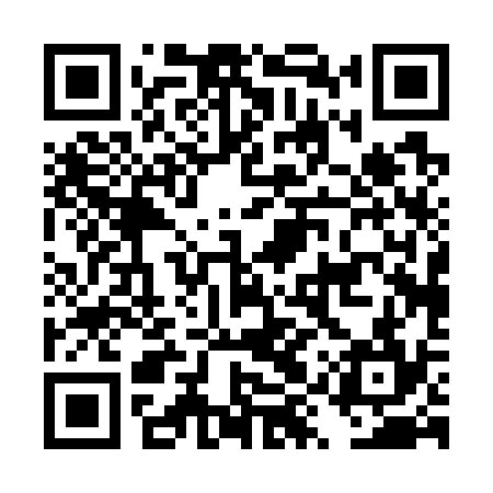 QR code for DYP734