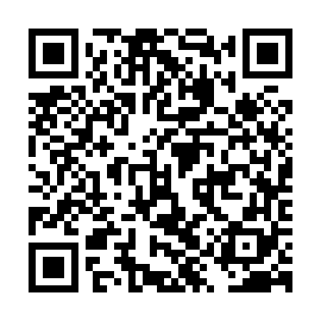 QR code for DYS868