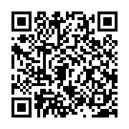 QR code for DZ00308