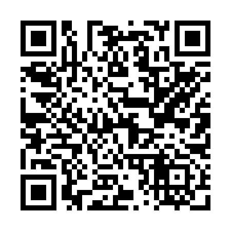 QR code for DZ4293