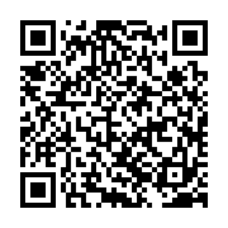 QR code for DZB333