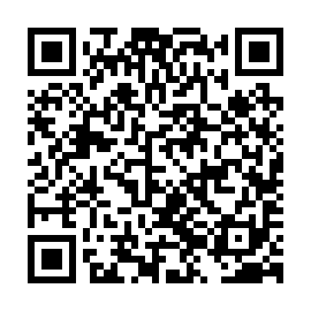 QR code for DZF291