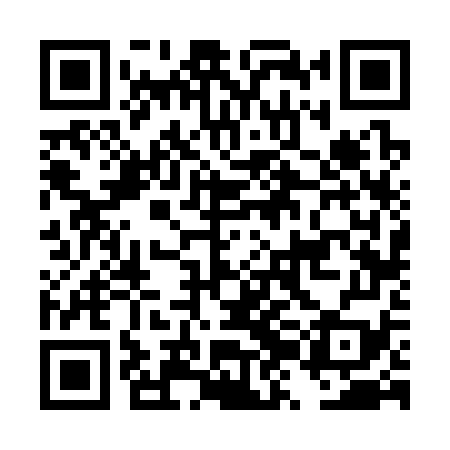 QR code for DZF379