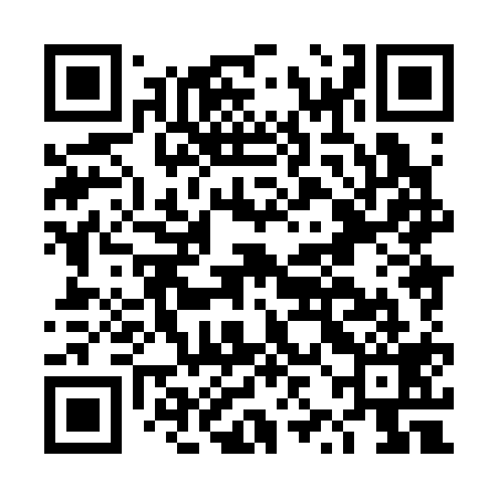 QR code for DZH319