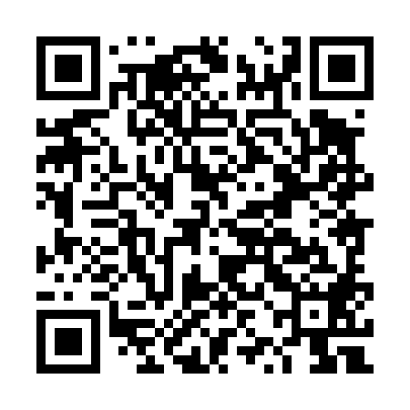 QR code for DZH488