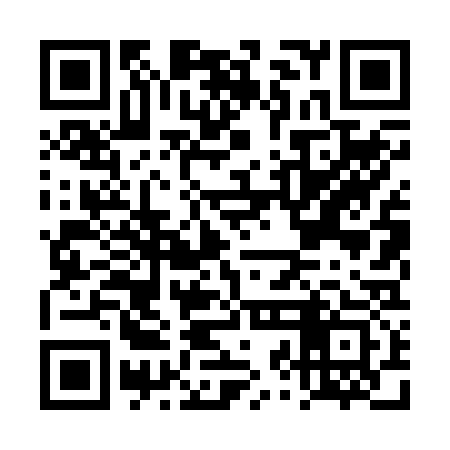 QR code for DZL233