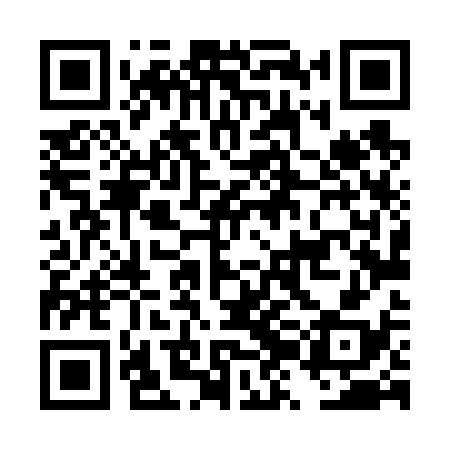 QR code for DZL638