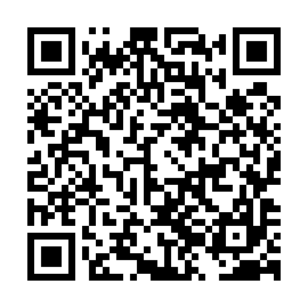 QR code for DZO597