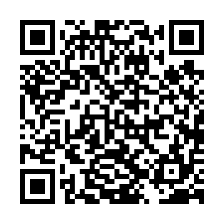 QR code for DZP614