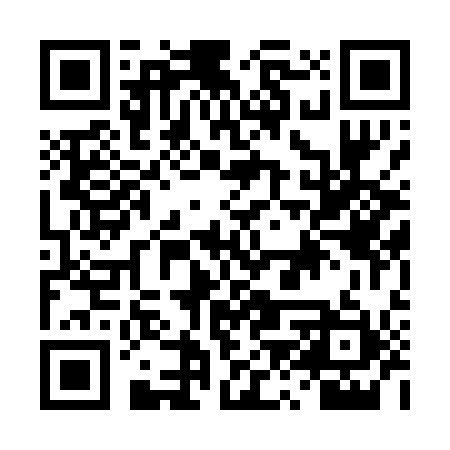 QR code for DZT011