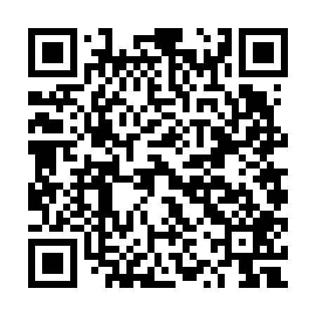QR code for DZV609