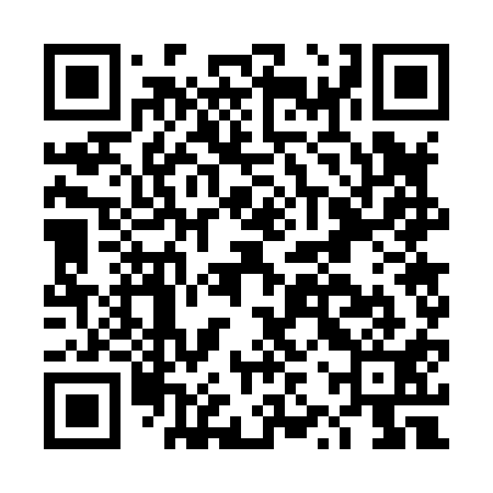QR code for DZW811