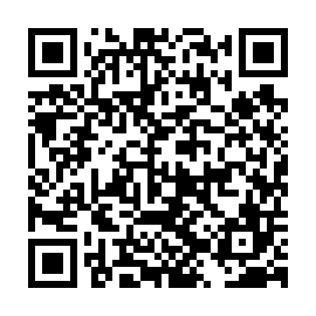 QR code for DZY606