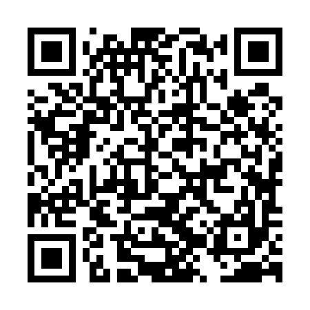 QR code for DZZ597