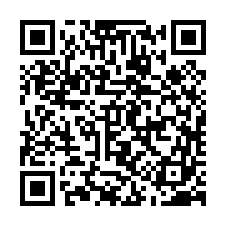 QR code for E12063