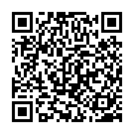 QR code for E15221