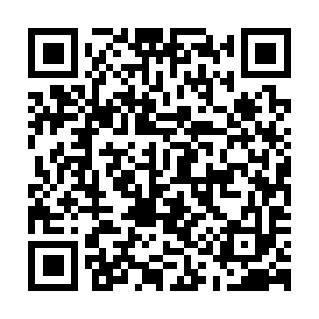QR code for E15393