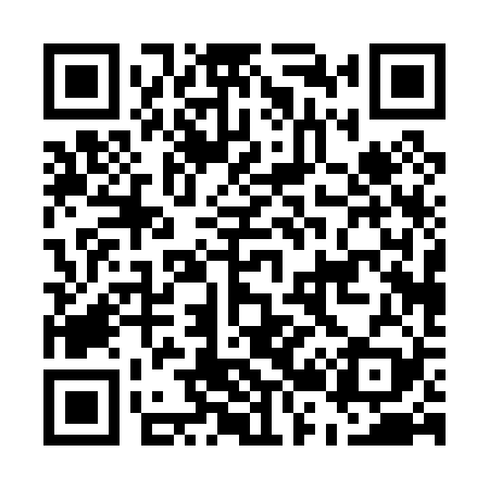 QR code for E20029