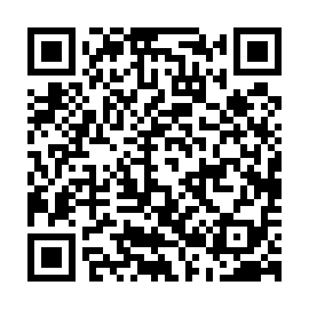 QR code for E20519