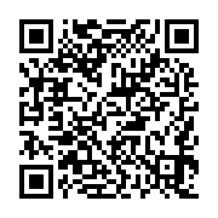 QR code for E20951