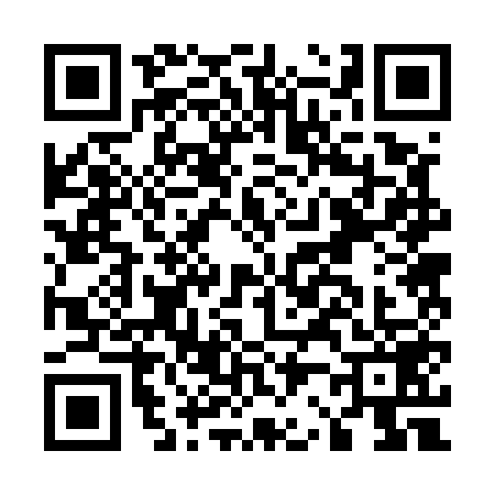 QR code for E225593
