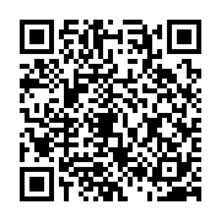 QR code for E233306