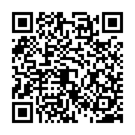 QR code for E239489