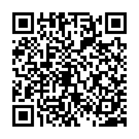 QR code for E273811