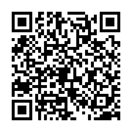 QR code for E273993