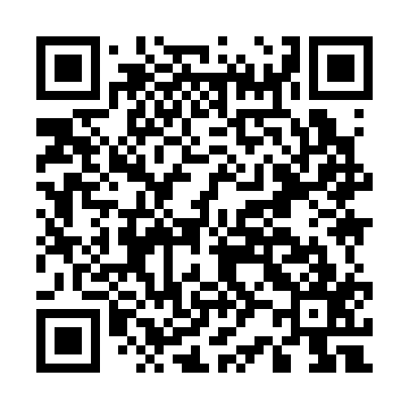 QR code for E29317