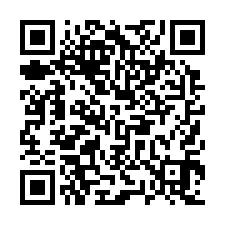 QR code for E30311