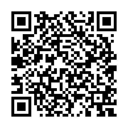 QR code for E306006