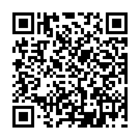 QR code for E308825