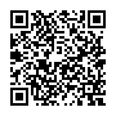QR code for E311966