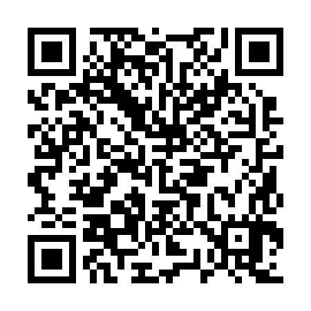 QR code for E31287