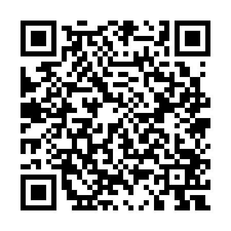 QR code for E313433