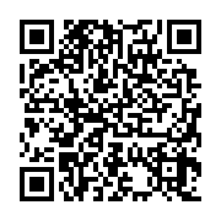 QR code for E333381