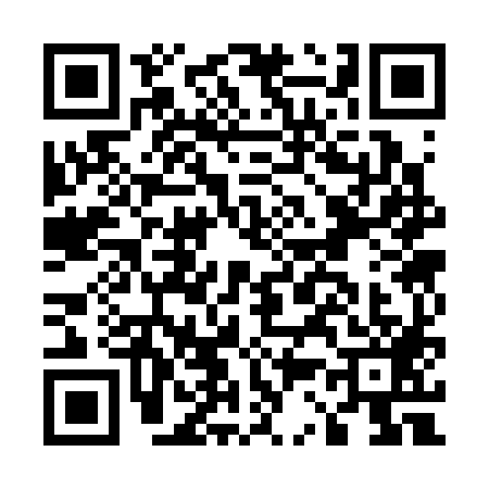 QR code for E333897