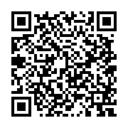 QR code for E334829