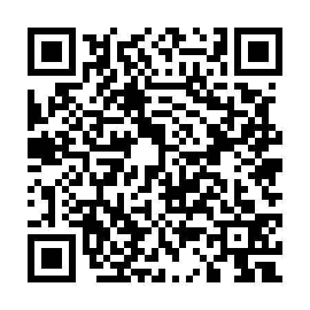 QR code for E355333