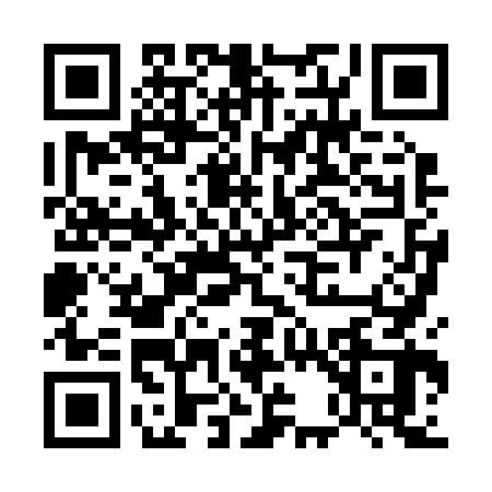 QR code for E382625