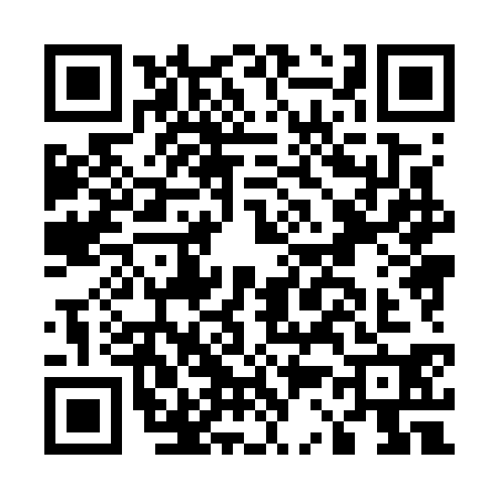 QR code for E387305