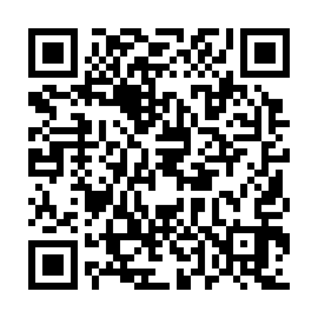 QR code for E41313
